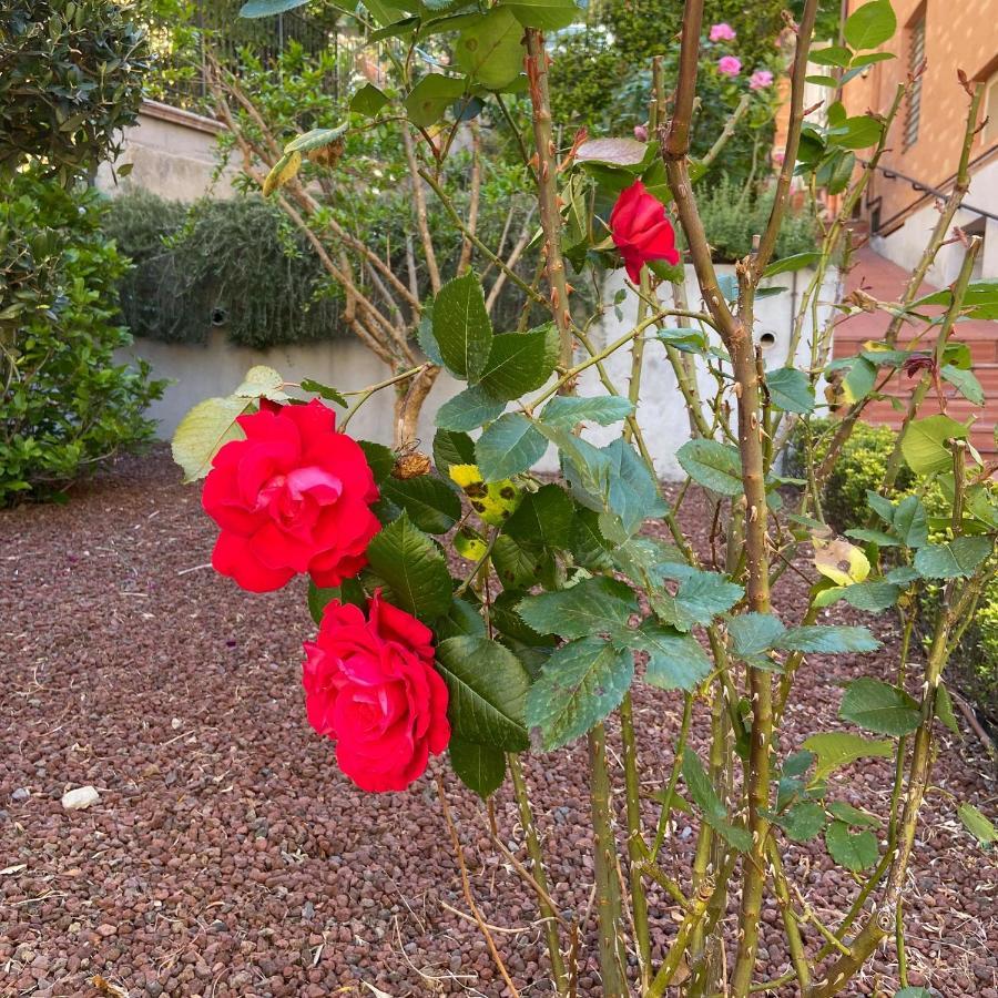 B&B Al Viale Macerata Dış mekan fotoğraf